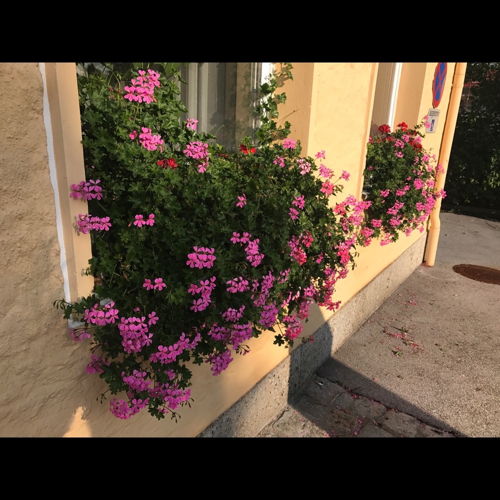 Meet your Posher, Pam